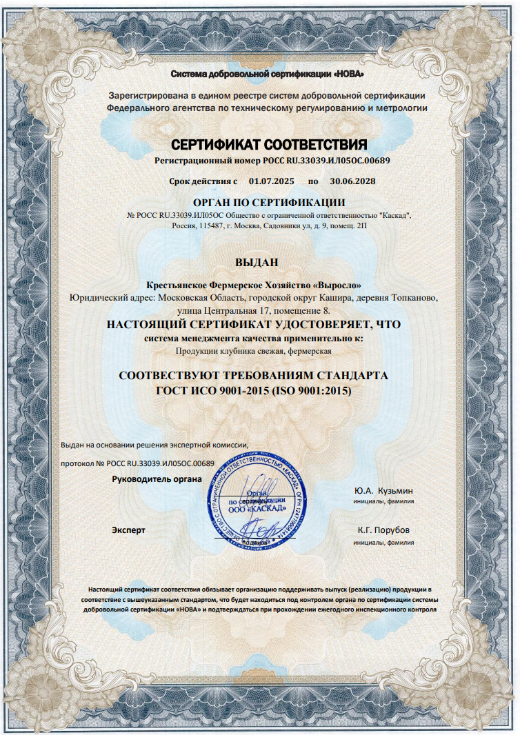 Сертификат соответствия
